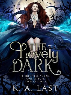 cover image of The Lovely Dark